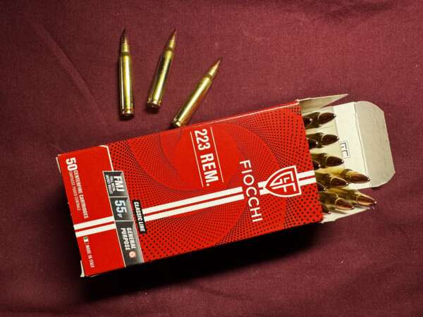 FIOCCHI 223REM FMJ 55GR