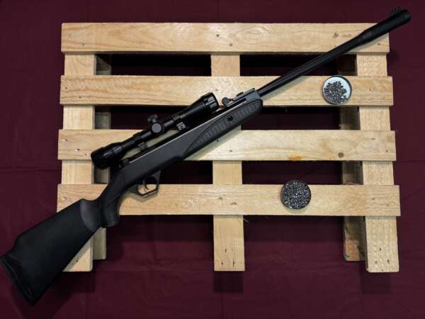 CARABINE A AIR DIANA TWENTY ONE