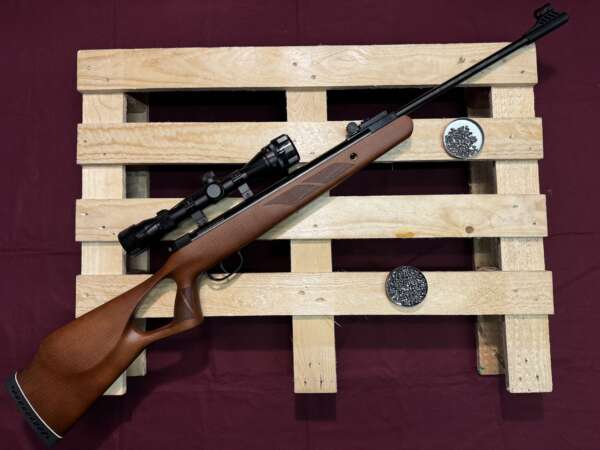 CARABINE A AIR DIANA TWO FIFTY