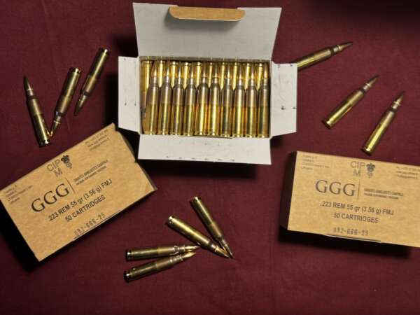 GGG 223REM 55GR FMJ