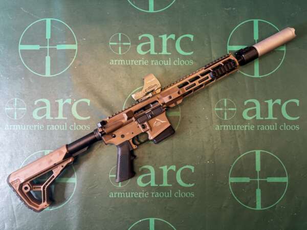 CARABINE ALPEN ARMS STG-15 + SILENCIEUX B/T ROTEX 5,56MM + GREENDOT HOLOSUN HS510C