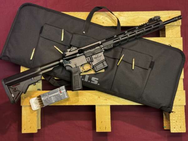CARABINE GIS AR15